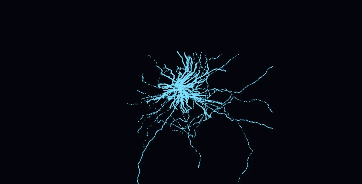 A cortical neuron reconstructed from MICrONS