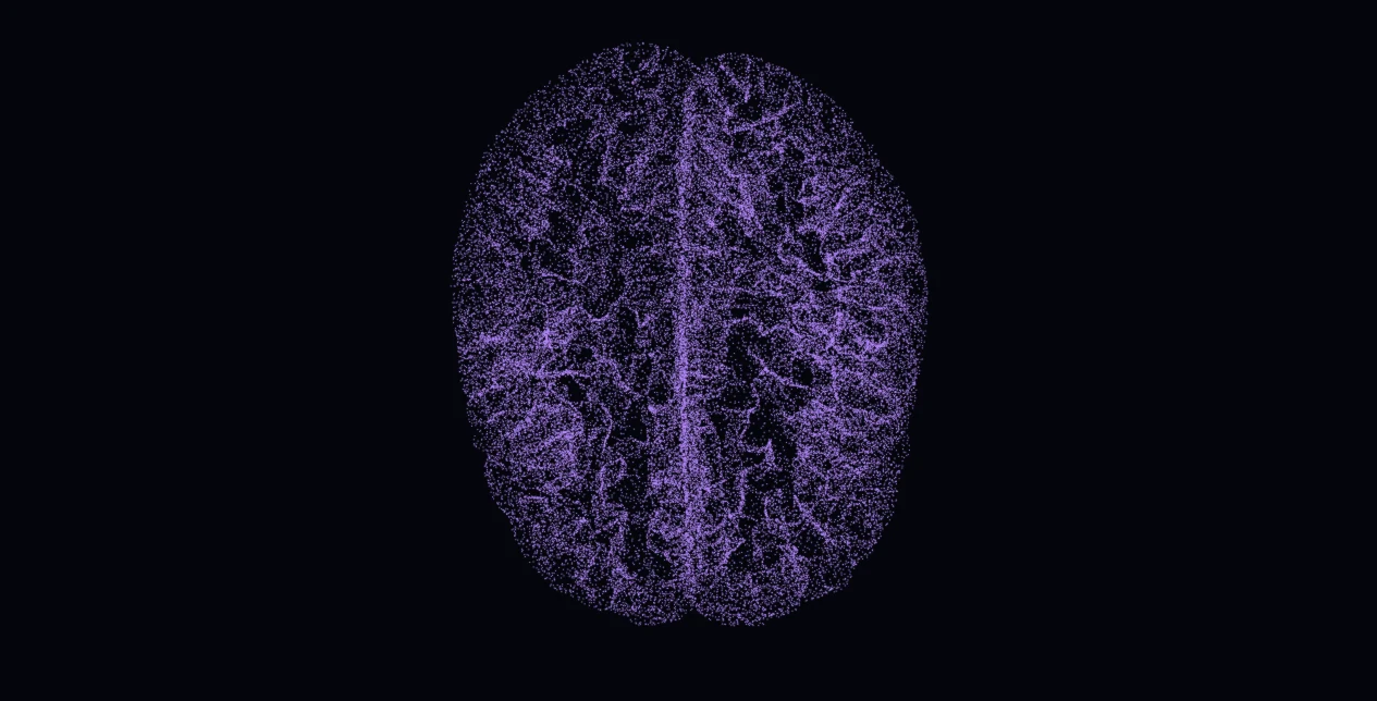 A human brain reconstructed as a point cloud