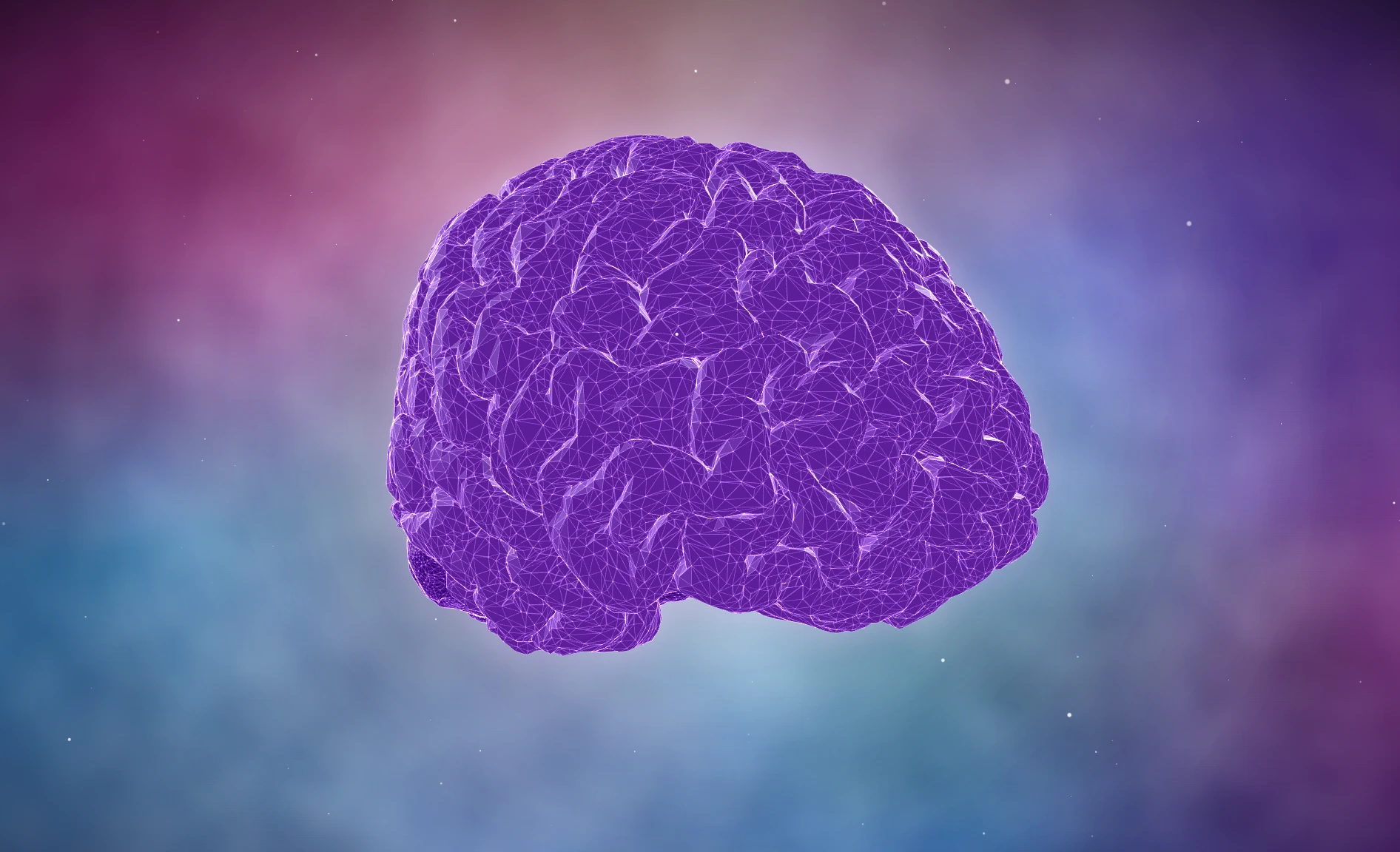 A 3D model of the human brain for young learners