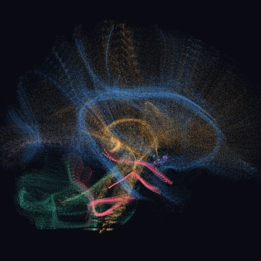 Eighty seven white matter bundles of the human brain, seen from the side and coloured by family